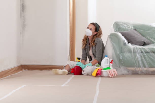 Reliable Basement Mold Remediation contractor in Lake Elmo, MN by Mold Remediation HQ
